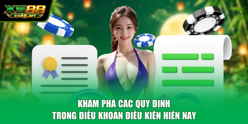 Khám phá các quy định trong điều khoản điều kiện hiện nay